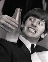Ringo1