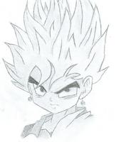 Mirosure