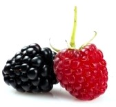 Sweet Berry