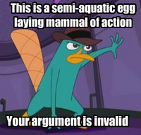 PerryThePlatypus