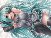 MikuMikuDancel