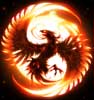 PhoenixParadise