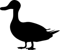 Aticabeu