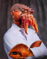 DrLobster