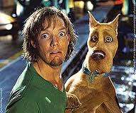 _Shaggy_