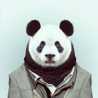 ImmortalPanda