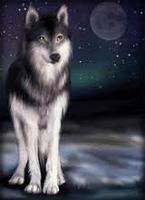 TheHugableWerewolf
