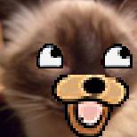 Despairsray