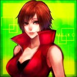 Meiko Sakine