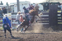 RodeoRider