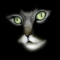 VelvetDarkness