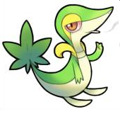 HippieChan's Avatar