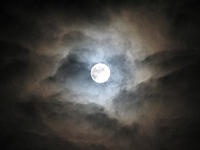 Silver_Moon's Avatar