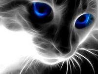 max_brito_1335@hotma