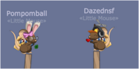 dazednsf