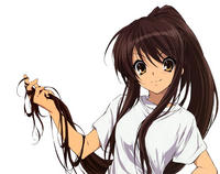 Shiki_No_Hollow