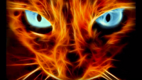 Arcanice4