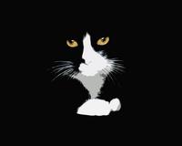 Darkartic Cat