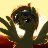 FrozenShadowHawk