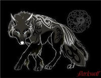 wolf17