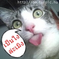 SweetPuff