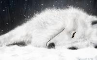 FrozenAngel_OH's Avatar