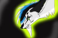 Drift Zephyrus