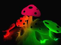 Supertrippin