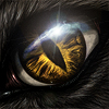 Twillight Dragon