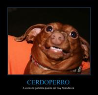 gioarrazola