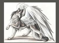 Dragonclaw19