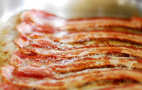 SirBacon