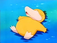 LilPsyduck