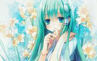 lightkitten56