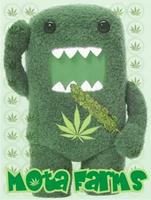 bluntcity