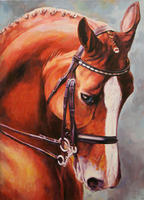 dressagepro