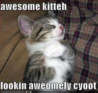 i is awesome