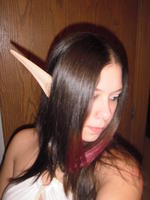 LadyHyrule
