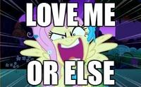 Flutter_Shy
