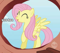 flutterguy