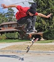 AesopSkater420