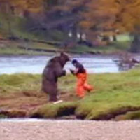 I Fight Bears