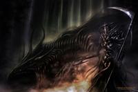Diablos-Reife
