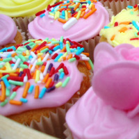 Cake Delight