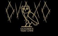 OVOXO_O242