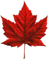 TheRealMaple