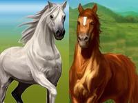 animalcrazy