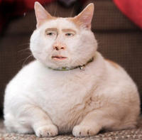 bobyjhon132