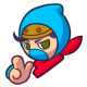 ninja13