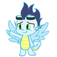 Soarin